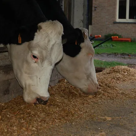 Ferme De La Blanche Fontaine *